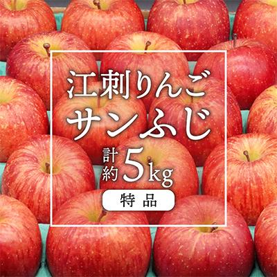 ふるさと納税 奥州市 江刺りんご サンふじ 約5kg [12月中旬より出荷]特品 訳あり 糖度14度以上 [AQ011]