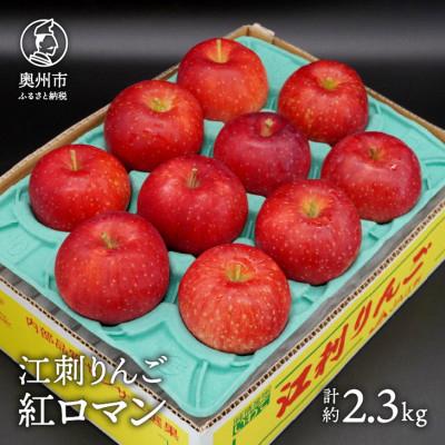 ふるさと納税 奥州市 江刺りんご 紅ロマン 約2.3kg(8〜11玉) [AQ021]