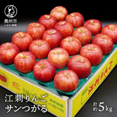 ふるさと納税 奥州市 江刺りんご サンつがる 約5kg(16〜20玉) [AQ022]