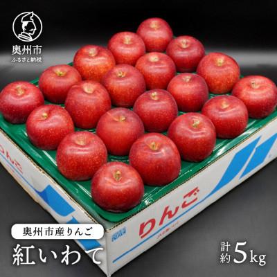 ふるさと納税 奥州市 奥州市産りんご 紅いわて 約5kg(14〜20玉) [AQ024]