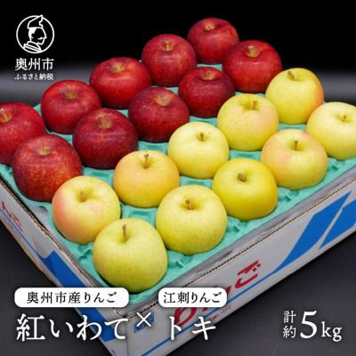 ふるさと納税 奥州市 奥州市産りんご(紅いわて)と江刺りんご(トキ)のセット 計約5kg(14〜20玉) [AQ025]
