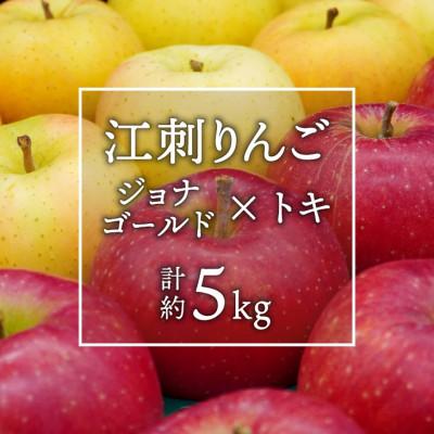 ふるさと納税 奥州市 江刺りんご ジョナゴールド・トキ 計約5kg(計16〜20玉) [AQ026]