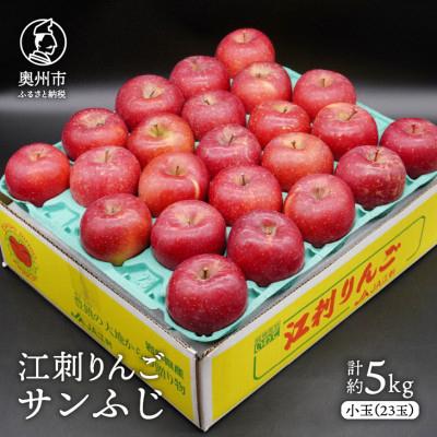 ふるさと納税 奥州市 江刺りんご サンふじ 小玉 約5kg(23玉) [AQ027]