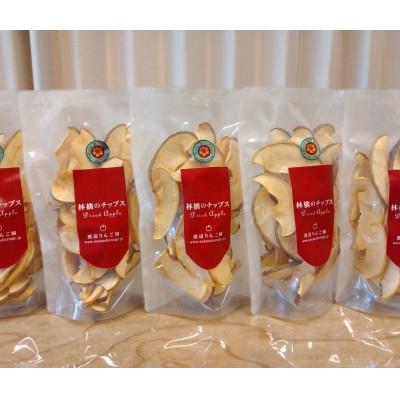 ふるさと納税 矢板市 林檎のチップス 40g×6袋