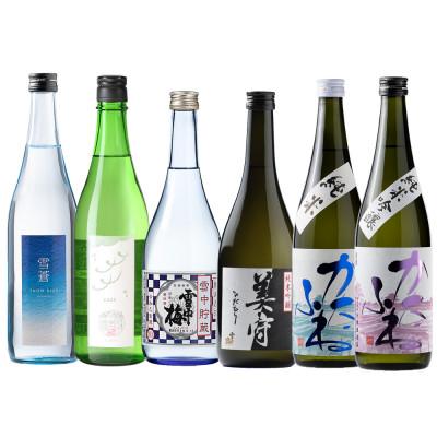 ふるさと納税 上越市 スノーブルー雪蒼・八恵久比岐・雪中梅・かたふね 720ml 6本セット