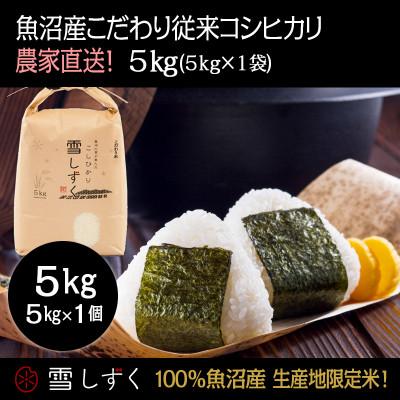 ふるさと納税 十日町市 令和7年産!魚沼産こだわり従来コシヒカリ[農家直送!]精米5kg×1袋