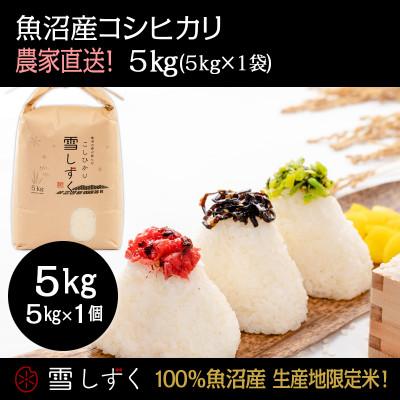 ふるさと納税 十日町市 令和7年産!魚沼産コシヒカリ 雪しずく[農家直送!] 精米5kg×1袋