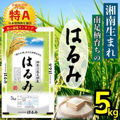 ふるさと納税 南足柄市 [令和7年産]湘南生まれ 南足柄育ちのお米「はるみ」(精米)5kg×1袋