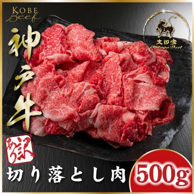 ふるさと納税 朝来市 神戸ビーフ ASGS1 訳あり 切り落とし肉(部位おまかせ) 500g