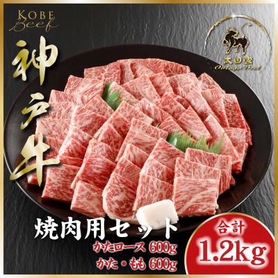 ふるさと納税 朝来市 神戸ビーフ ASGYS5 焼肉用セット
