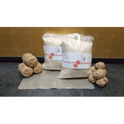 ふるさと納税 上越市 [先行予約]上越頸城産 「こしひかり」精米10kg(5kg×2袋)