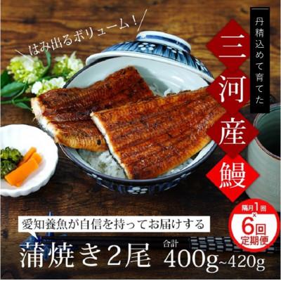 ふるさと納税 西尾市 [定期便]三河産うなぎ「超特大蒲焼き2尾」×6回(隔月1回 1年間)・A133-108