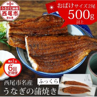 ふるさと納税 西尾市 [定期便]三河産うなぎ「超おばけ蒲焼き2尾」×6回(隔月1回 1年間)・A134-120