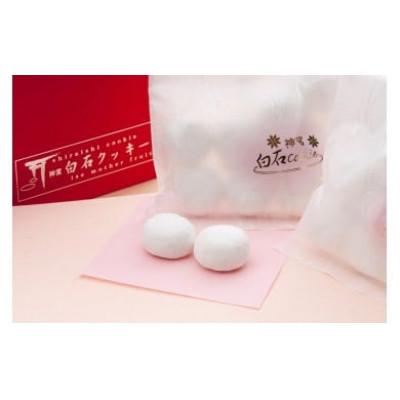 ふるさと納税 伊勢市 神宮白石クッキー&amp;紅果実クッキーセット 078