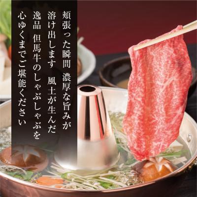 ふるさと納税 養父市 【但馬牛】しゃぶしゃぶ赤身&霜降り 特選セット500g |  | 01