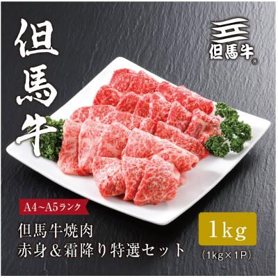 ふるさと納税 養父市 【但馬牛】 焼肉 赤身&霜降り 特選セット1kg | 