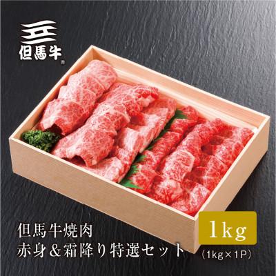 ふるさと納税 養父市 【但馬牛】 焼肉 赤身&霜降り 特選セット1kg |  | 02