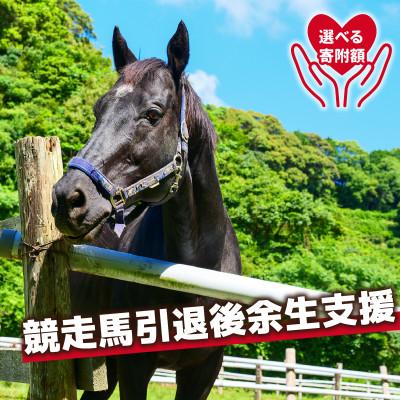 ふるさと納税 須崎市 引退馬ポストカード(5枚)会報誌