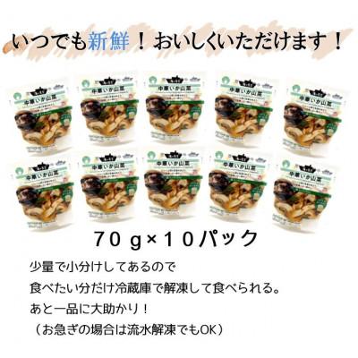ふるさと納税 ひたちなか市 海の食堂 中華いか山菜 70g×10パックの画像