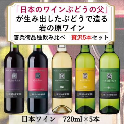 ふるさと納税 上越市 岩の原ワイン 「日本のワインぶどうの父」川上善兵衛が生み出した品種飲み比べ 贅沢5本セット