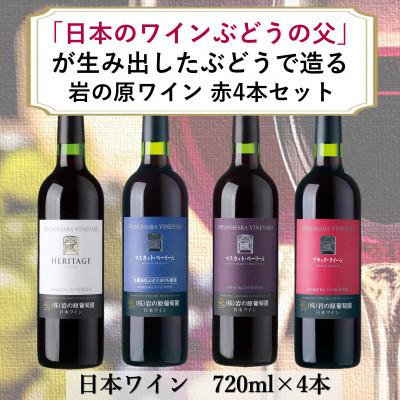 ふるさと納税 上越市 岩の原ワイン 「日本のワインぶどうの父」川上善兵衛が生み出したぶどう 赤ワイン4本セット