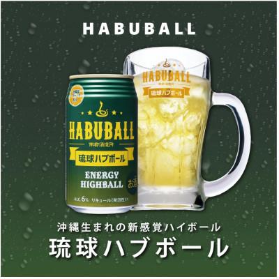 ふるさと納税 南城市 [南都酒造所]琉球ハブボール350ml×24缶セット