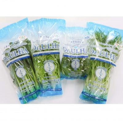 ふるさと納税 菰野町 カリウムが気になる方へ!生で食べられます!低カリウム野菜「Dr,ULHA」おすすめ10袋セット |  | 01
