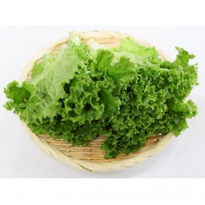 ふるさと納税 菰野町 カリウムが気になる方へ!生で食べられます!低カリウム野菜「Dr,ULHA」おすすめ10袋セット |  | 02