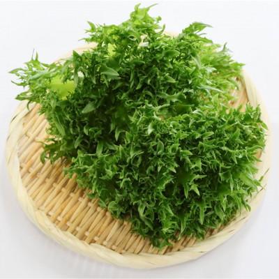 ふるさと納税 菰野町 カリウムが気になる方へ!生で食べられます!低カリウム野菜「Dr,ULHA」おすすめ10袋セット |  | 03