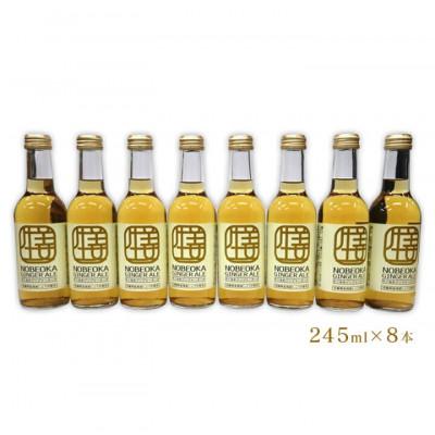 ふるさと納税 延岡市 [のべおか道の駅オリジナル]のべおかジンジャーエール8本