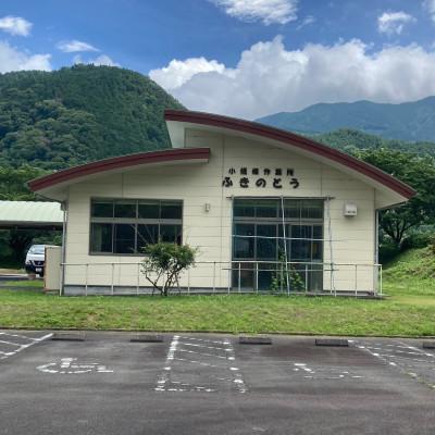 ふるさと納税 南部町 【障がい福祉事業のために】手作りバッグ、手染め和紙等セット【たけのこ柄】 |  | 02