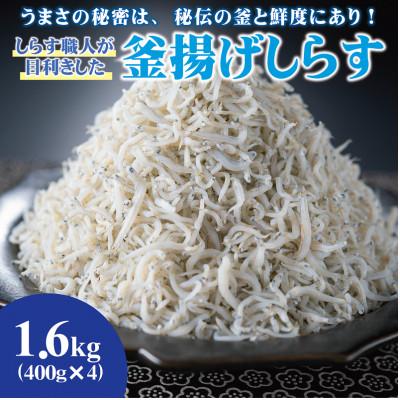 ふるさと納税 有田市 しらす職人が目利きした 「 釜揚げしらす 」 1.6kg(400g×4パック) | 