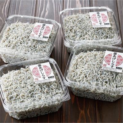 ふるさと納税 有田市 しらす職人が目利きした 「 釜揚げしらす 」 1.6kg(400g×4パック) |  | 01