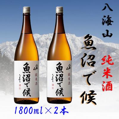 ふるさと納税 南魚沼市 [魚沼地域限定]純米酒 八海山「魚沼で候」1800ml×2本(化粧箱付き)
