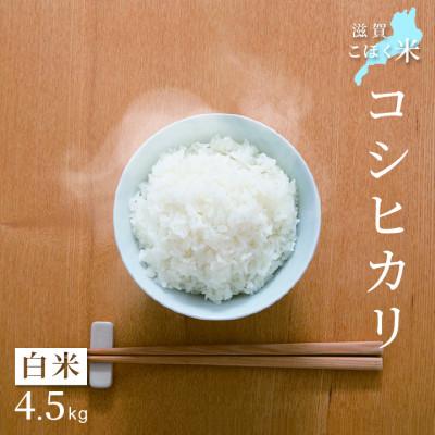 ふるさと納税 長浜市 令和6年産 滋賀県湖北産 湖北のコシヒカリ 白米 4.5kg [食味最高ランク特A 3年連続受賞]