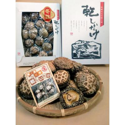 ふるさと納税 矢板市 肉厚・厳選!原木育ちの上どんこ(160g)