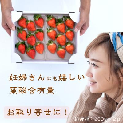 ふるさと納税 上越市 雪国完熟いちご越後姫 200g×2P