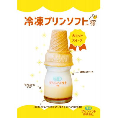 ふるさと納税 伊勢市 冷凍プリンソフト6個セット 864