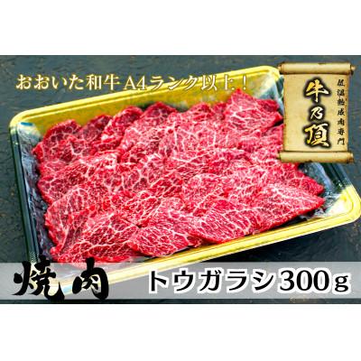 ふるさと納税 津久見市 おおいた和牛A4ランク以上 トウガラシ焼肉300g[低温熟成]