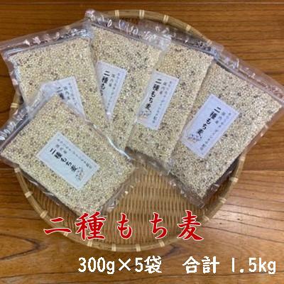 ふるさと納税 志木市 二種もち麦(300g)×5個セット
