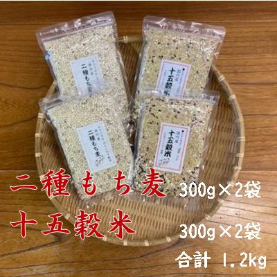 ふるさと納税 志木市 二種もち麦(2個)・十五穀米(2個)合計4個セット