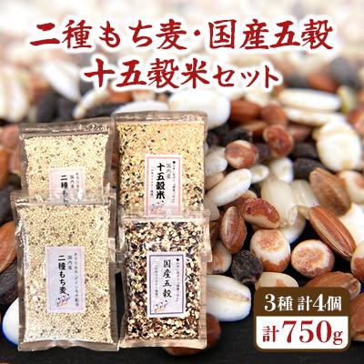 ふるさと納税 志木市 二種もち麦(2個)・国産五穀(1個)十五穀米(1個)合計4個セット