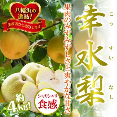 ふるさと納税 八幡浜市 【2027年発送】八幡浜の梨、果汁たっぷり!!「幸水」約4キロ【D39-40】 | 