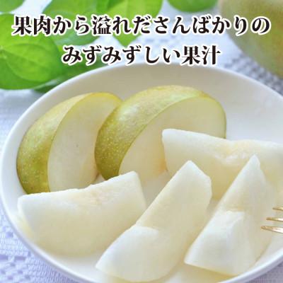 ふるさと納税 八幡浜市 【2027年発送】八幡浜の梨、果汁たっぷり!!「幸水」約4キロ【D39-40】 |  | 01