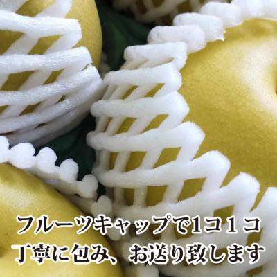 ふるさと納税 八幡浜市 【2027年発送】八幡浜の梨、果汁たっぷり!!「幸水」約4キロ【D39-40】 |  | 03
