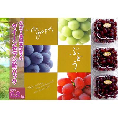 ふるさと納税 世羅町 [カナダ人農園主の真心を込めた]クイーンセブン粒パック約0.9kg(3パック)