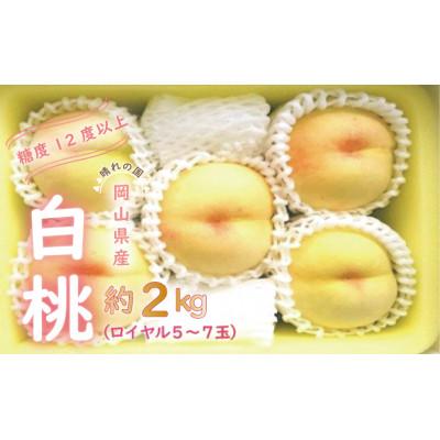 ふるさと納税 備前市 [2026年発送]白桃 岡山 ロイヤル 約2kg 岡山県産
