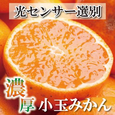 ふるさと納税 上富田町 家庭用 小玉な有田みかん2.5kg+250g(傷み補償分)[訳あり]
