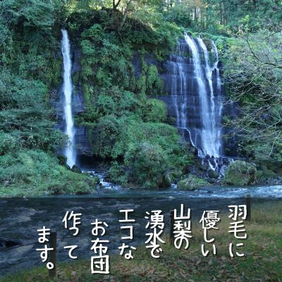 ふるさと納税 都留市 【合掛け】羽毛布団　ダウン90%　230×210cm(キング)リユース羽毛　日本製_2