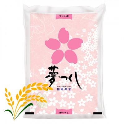 ふるさと納税 大任町 【令和7年産】福岡県産米食べ比べ＜白米＞「夢つくし」と「元気つくし」セット計10kg 大任町